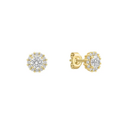 Yellow Gold Plated Halo Stud Earrings